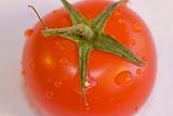 close-up tomato