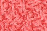 Abstract red feathers illustration background