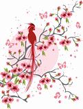 Cherry blossom and bird background