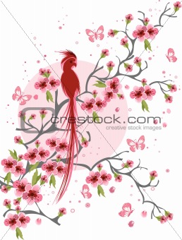 Cherry blossom and bird background