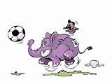 soccer elephant