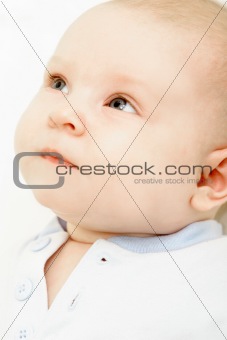baby portrait over white