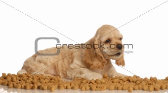 puppy surrounded by dog food
