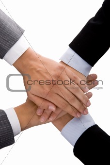 businesswoman handshake