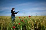 young businesswoman with laptop on poppie field