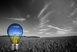 black and white landcape with colorful blue light bulb