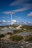 Wind turbines producing clean renewable electric energy