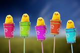 easter background with  yellow baby chicks inside colorful bucke