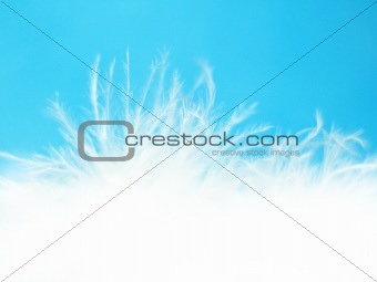 White bird feathers over blue background