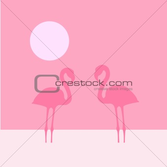 Two flamingo