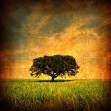 Grunge background with Lonely tree