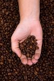 woman holding coffee beans in the hand