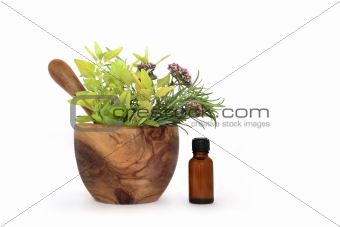 Rosemary, Marjoram and Oregano Herbs