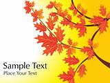 background, autumn leaves with sample text
