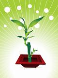 little bamboo tree with nice red pot, vector