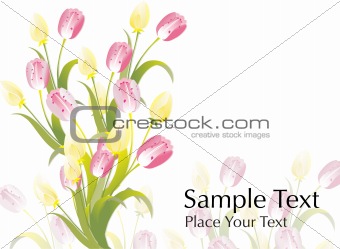 nice bouquet of lily flower vector