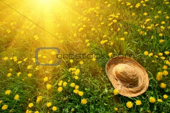 Rays of sun on green grass with straw hat