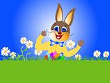 Easter, rabbit