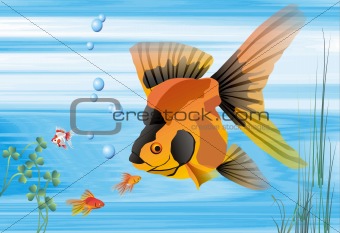 Background, illustrations of fish and tropical underwater environment,