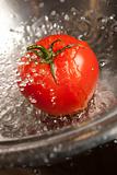 Tomato with Splash in Colander