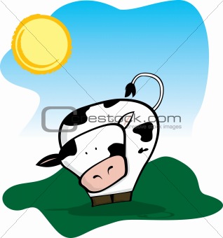 Cow in the sun