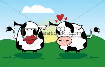 Cow in Love