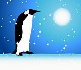 Penguin, winter in Arctic