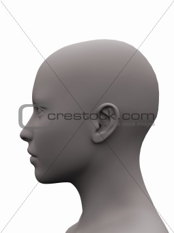 grey female head