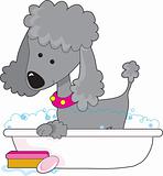 Poodle Bath Grey