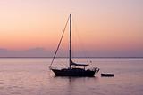Sail Boat At Sunrise