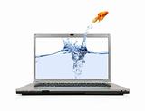 Goldfish Jumping Out Of Laptop