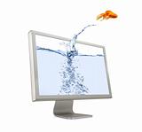 Goldfish Jumping Out Of Screen