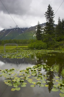 Alaska wetland
