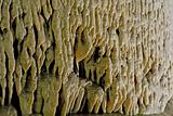 Flowstone Carlsbad Caverns NP 