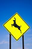 Road sign deer crossing, USA 