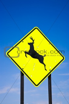 Road sign deer crossing, USA 