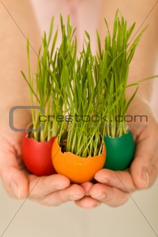 New life concept with easter eggs and grass