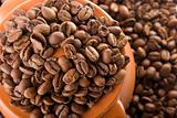 The coffee grain
