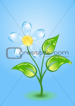 Gloss flower