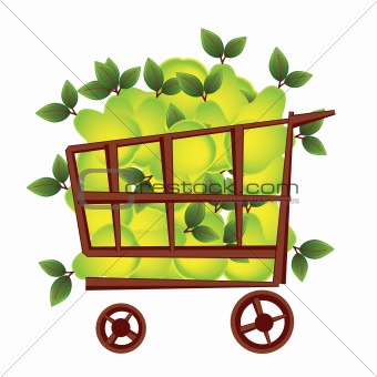 Shopping basket with fruits