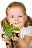 Little girl holding young plant