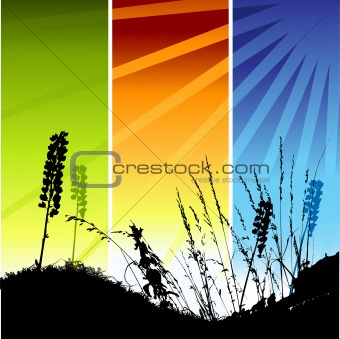 Grass silhouette on meadow