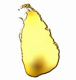 Sri Lanka 3d Golden Map