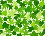 Green spring leaves texture seamless pattern