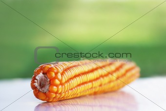 Shine corn