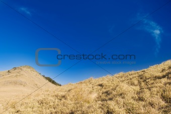 Mountain landscape with golden grassland