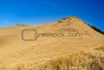 Mountain landscape with golden grassland