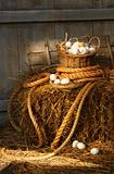 Basket of eggs on a bale of hay