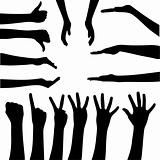 vector set of gesturing hands shapes