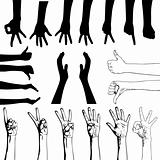 Vector set of gesturing hands shapes
